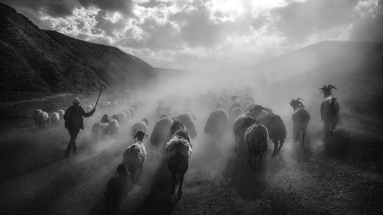 国色天香视频在线社区探索数字时代的艺术殿堂